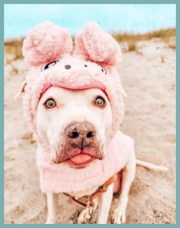 Betty White Barktober Costume on the Beach