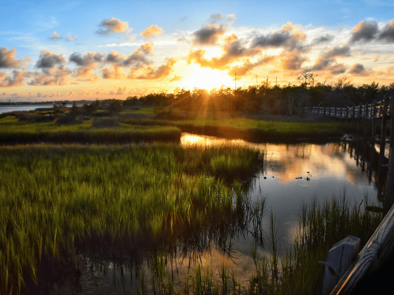 Bluewater NC's photo winner for Nature