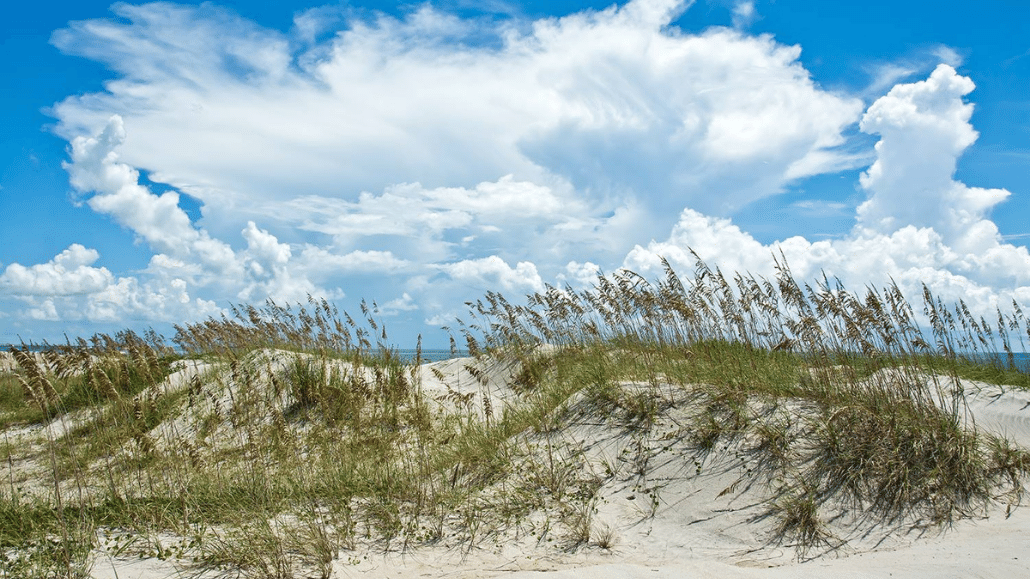 sand dunes, rebuilding the sand dunes 