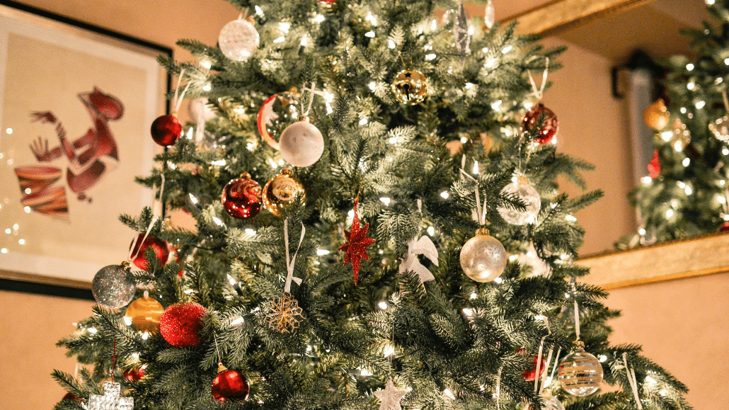 christmas trees used to help rebuild the dunes