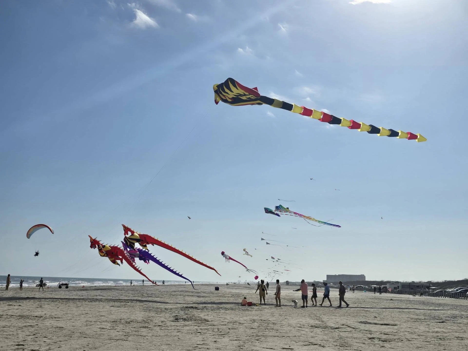 Carolina Kite Festival (39th Annual) Event
